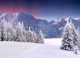 Obrazy i plakaty Beautiful winter landscape in the mountains. Sunrise