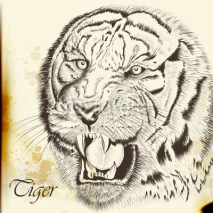 Naklejki Hand drawn vector  portrait of tiger in vintage style