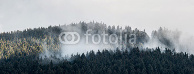 Foggy Landscape. A view from mountains to covered with foggy landscape.
