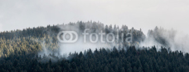 Fototapety Foggy Landscape. A view from mountains to covered with foggy landscape.