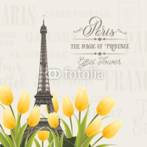 Eiffel tower and Tulip bouquet. Spring in Paris sign. Tulip bouquet over gray text pattern. Elegant print template. Vector illustration.