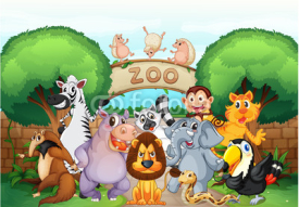 Naklejki zoo and animals