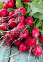 Naklejki fresh radishes on wooden surface