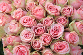 Obrazy i plakaty Pink roses in a wedding arrangement