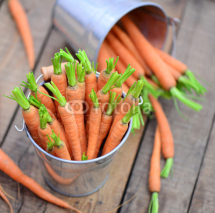Naklejki Karotten