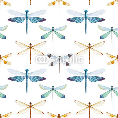Watercolor dragonflies pattern
