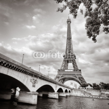 Obrazy i plakaty Eiffel tower view from Seine river square format