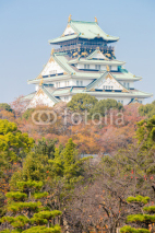 Fototapety Osaka castle Japan
