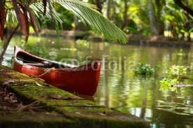 Naklejki Palm tree tropical forest in backwater of Kochin, Kerala, India