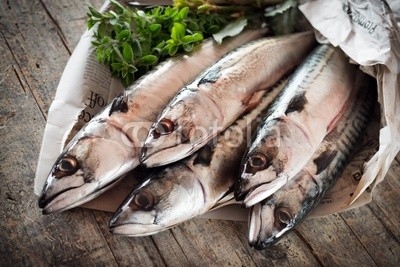 mackerel - sgombri