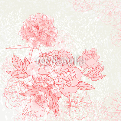 Peony background