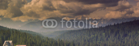 Fototapety Mountain forest covered by fog