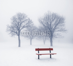 Winter trees and bench in fog