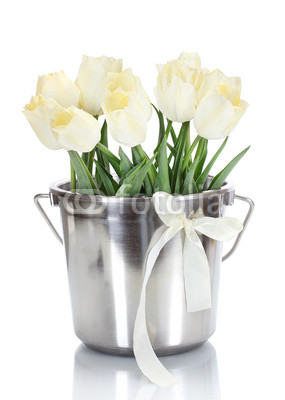 beautiful tulips in bucket isolated on white.