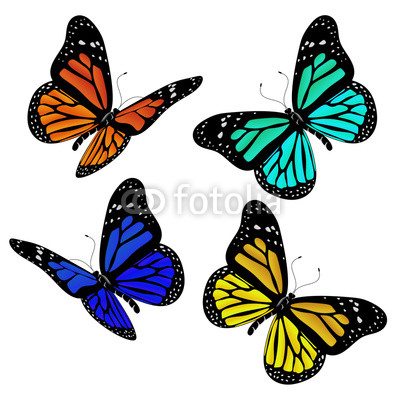 Illustration of different coloured butterflies