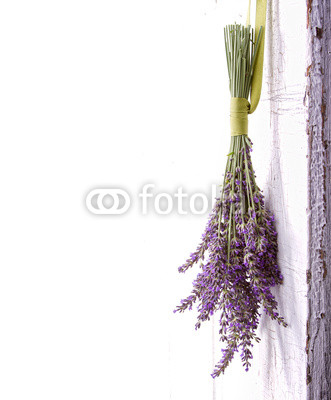 lavender hanging from an old door
