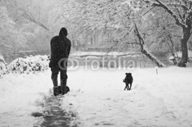 Naklejki Snowing landscape in the park with person cleaning the alleys and dog. Snowing makes a lovely grain-like texture 