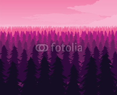 Background of landscape with deep fir forest.
