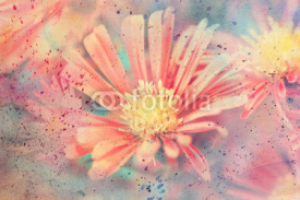 Fototapety cute artwork with red aster's flower