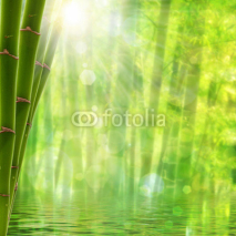 Naklejki Bamboo forest. Abstract summer backgrounds with bright sun and b