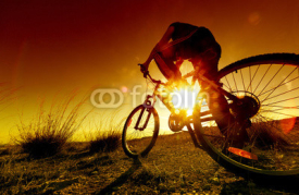 Fototapety Dreamy sunset and healthy life.Fields and bicycle