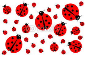 Naklejki Many Ladybugs