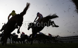 Fototapety Horse Racing jumping fence