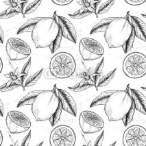 Fototapety Hand drawn vector seamless pattern. Collections of Lemons. Lemon
