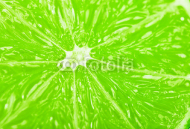 Fototapety lime slice