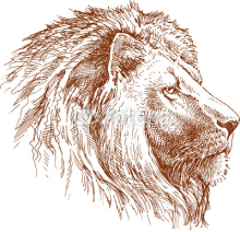 Obrazy i plakaty Lion