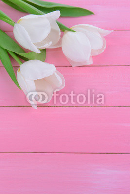 Beautiful bouquet of white tulips on pink background