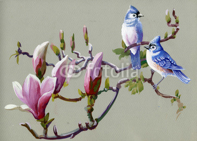 Painting collection Birds of spring