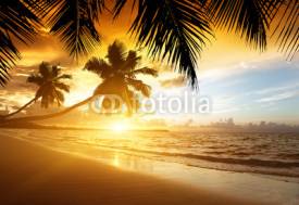 Fototapety sunset on the beach of caribbean sea