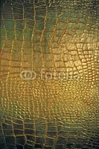 Fototapety Reptile leather texture