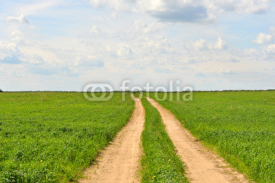 Naklejki Green grass, road and clouds