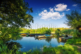 Obrazy i plakaty Under the trees, boats in the harbor at Lake