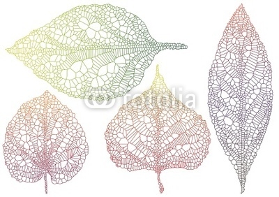textured autmn leaves, vector