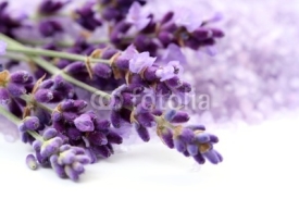 Naklejki lavender