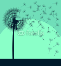 Naklejki Blow dandelion vector vintage background concept