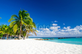 Fototapety tropical beach