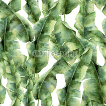 Fototapety Watercolor pattern with banana palm leaves. Hand painted exotic greenery branch. Tropic plant isolated on white background. Botanical illustration. For design, print or background