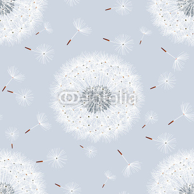 Seamless pattern grey with flowers dandelions