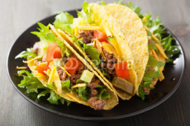 Fototapety mexican taco shells with beef and vegetables