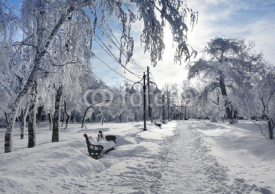 Naklejki Winter park, scenery