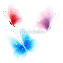 Obrazy i plakaty colored butterflies on a white background
