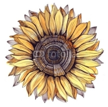 Naklejki sunflower (series C)