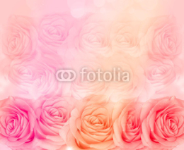 Obrazy i plakaty Flower rose background