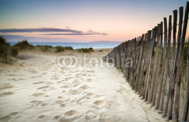 Fototapety Grassy sand dunes landscape at sunrise