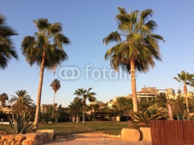 Fototapety Jardin près de la plage à Byblos Jbeil