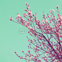 Naklejki Retro Cherry Blossom